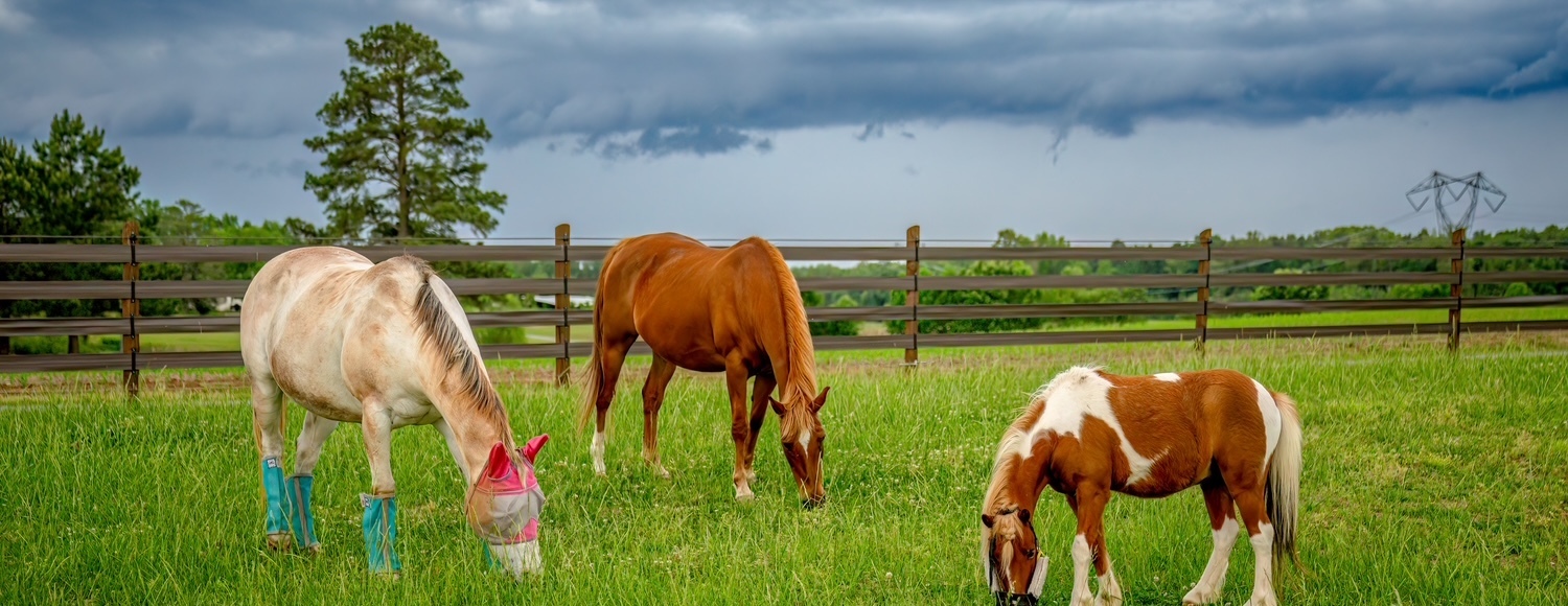Ranch Tour December 17